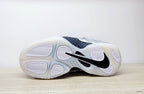 Nike Foamposite Pro Silver Surfer Silver Basketball Shoes
