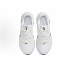 Nike Downshifter 13 Running Shoes White Silver FD6476-100