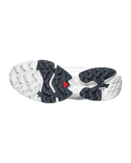 XT-4 OG
