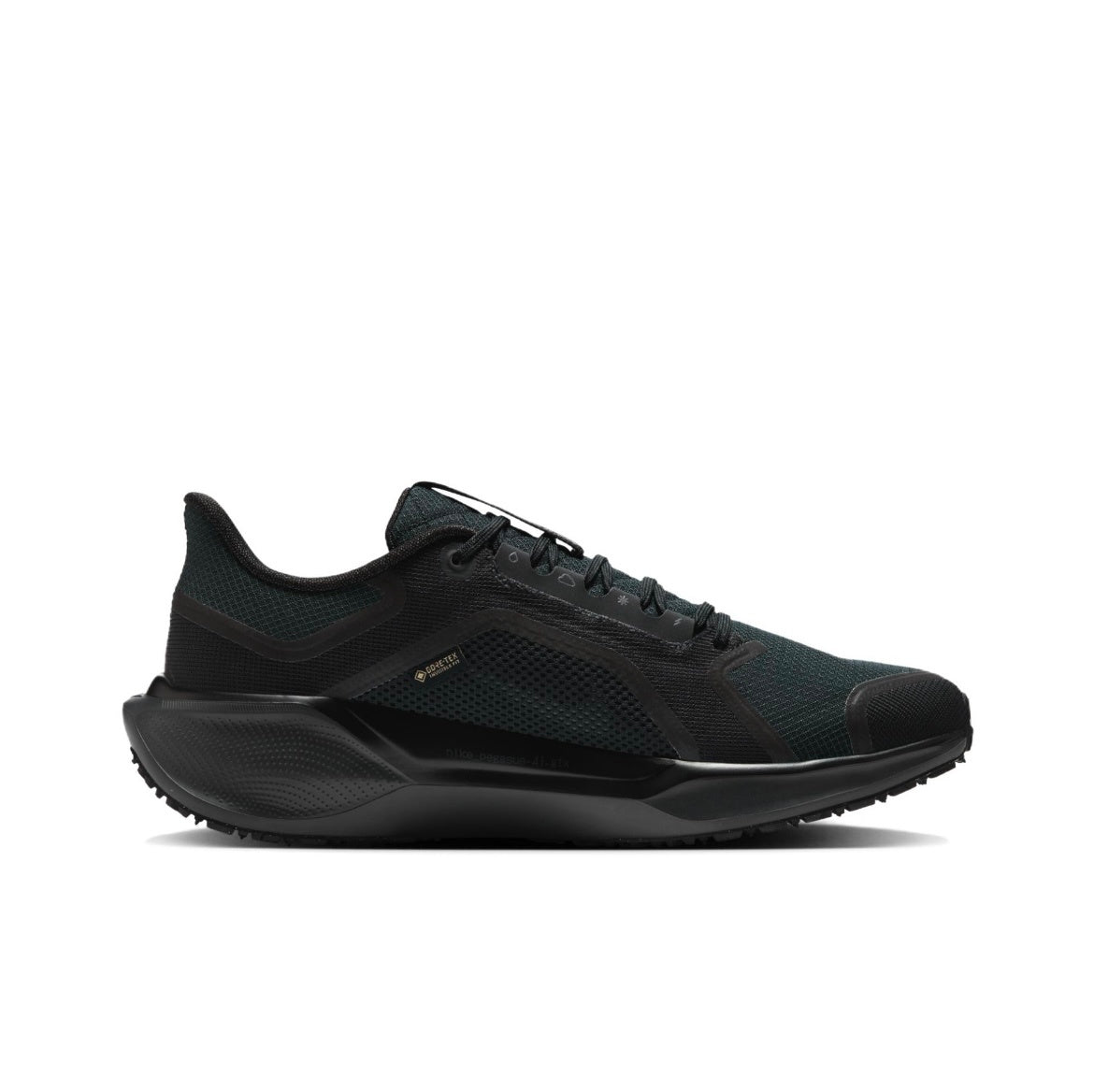 Nike Pegasus 41 GORE-TEX Black Running Shoes FQ1356-001
