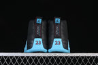 Jordan Air Jordan 12 Retro Black and Gamma Blue High-Top Sneakers