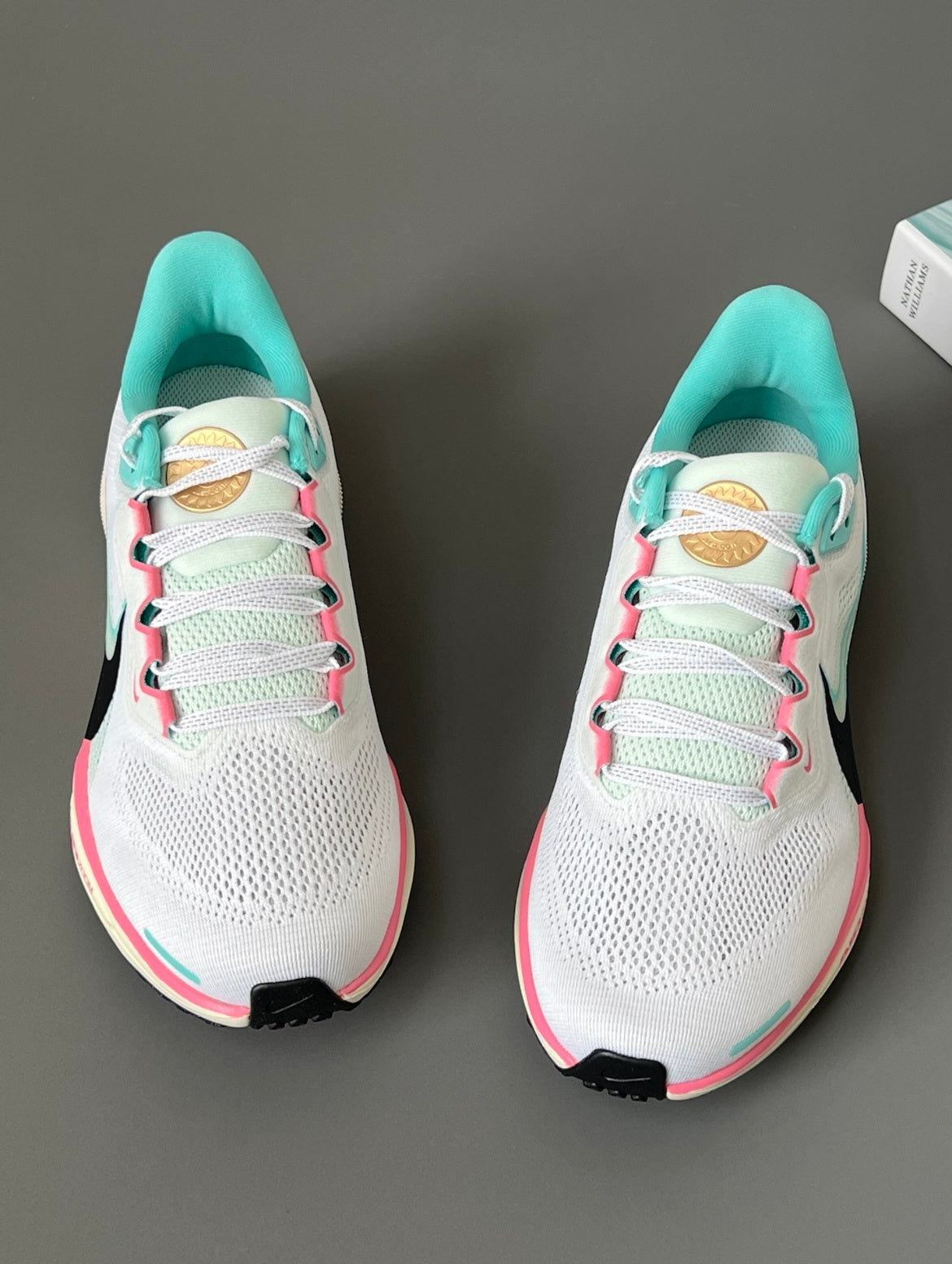Nike Pegasus 41 Running Shoes White, Blue and Pink HM3703-161