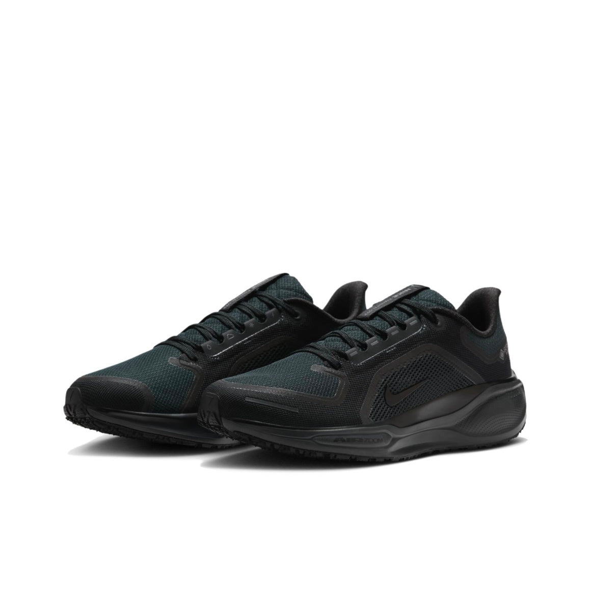 Nike Pegasus 41 GORE-TEX Black Running Shoes FQ1356-001