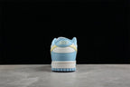 Nike SB Low-Top Sneakers Light Blue White FJ5429-133