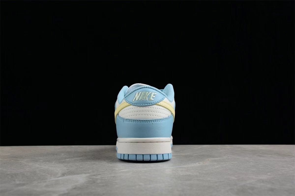 Nike SB Low-Top Sneakers Light Blue White FJ5429-133