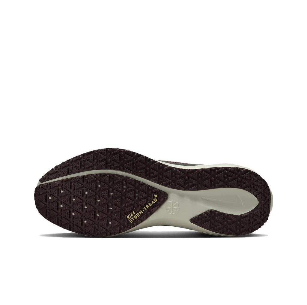 Nike Pegasus 41 GORE-TEX Running Shoes FQ1356-003