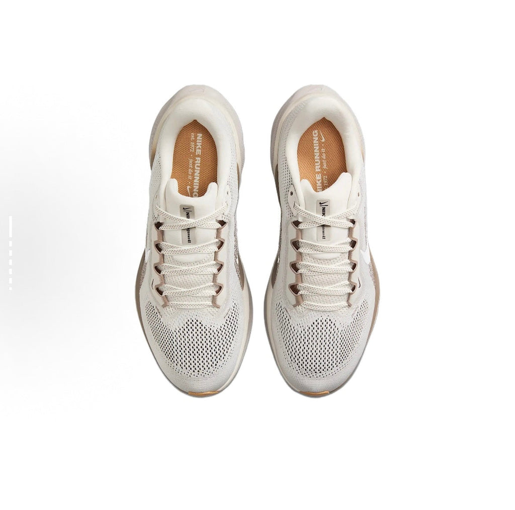 Nike Pegasus 41 Running Shoes FD2723-008 Gray