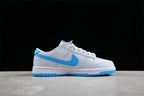 Nike SB Dunk Low Sneakers Light Gray Blue FJ5429-133