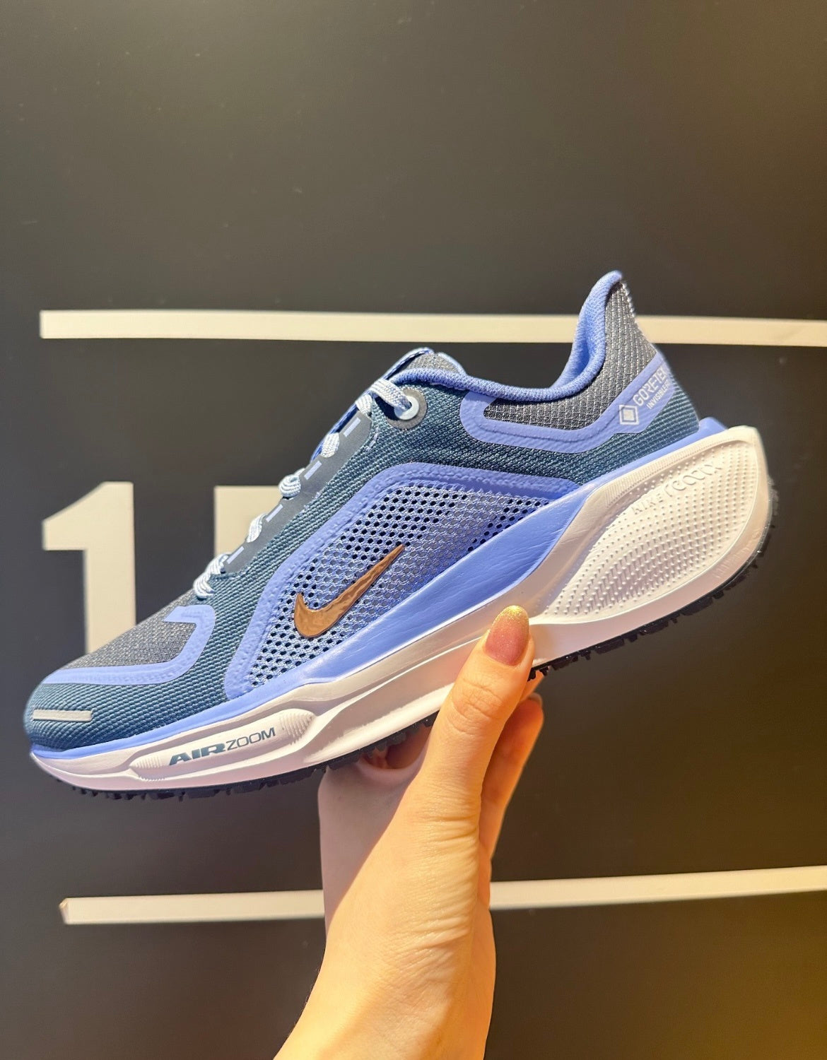 Nike Pegasus 41 GORE-TEX Running Shoes FQ1357-400 Blue