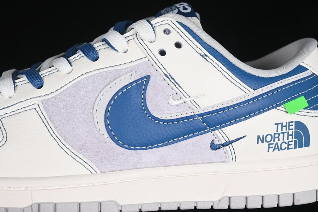 Nike Dunk Low North Face Colorway Sneakers DM6868-040