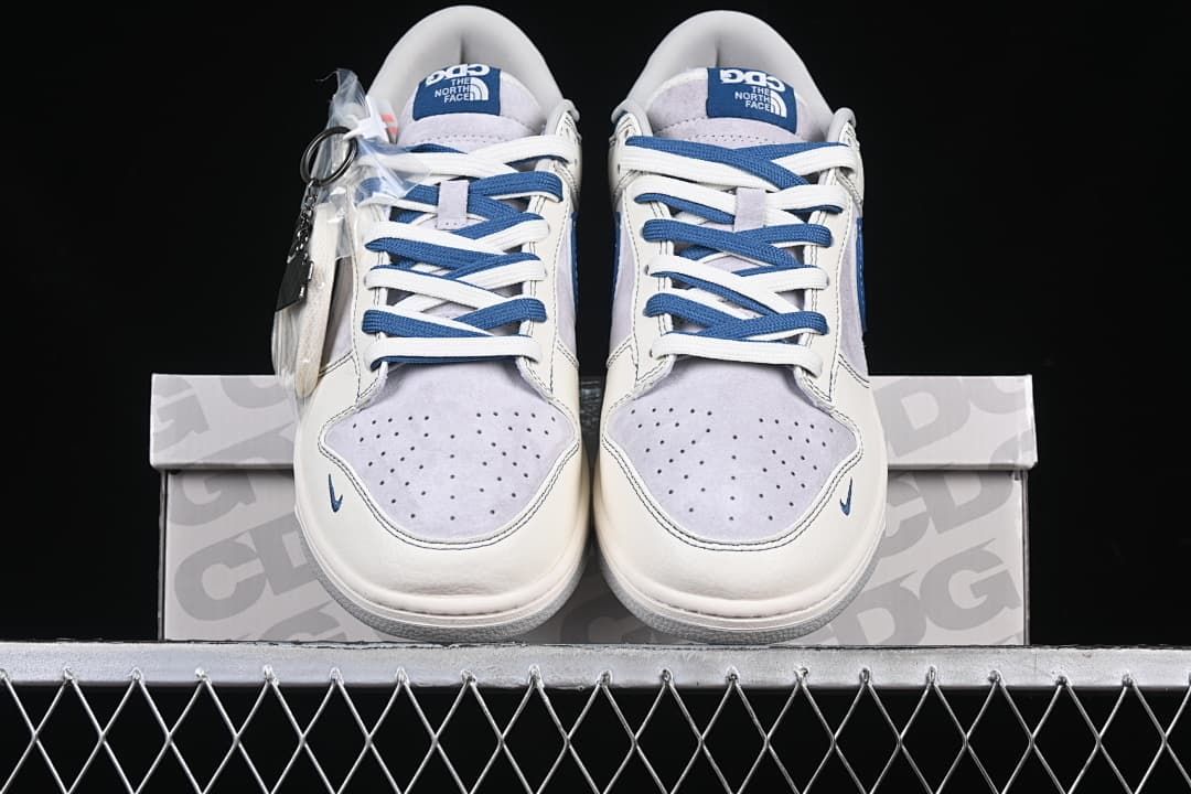 Nike Dunk Low North Face Colorway Sneakers DM6868-040