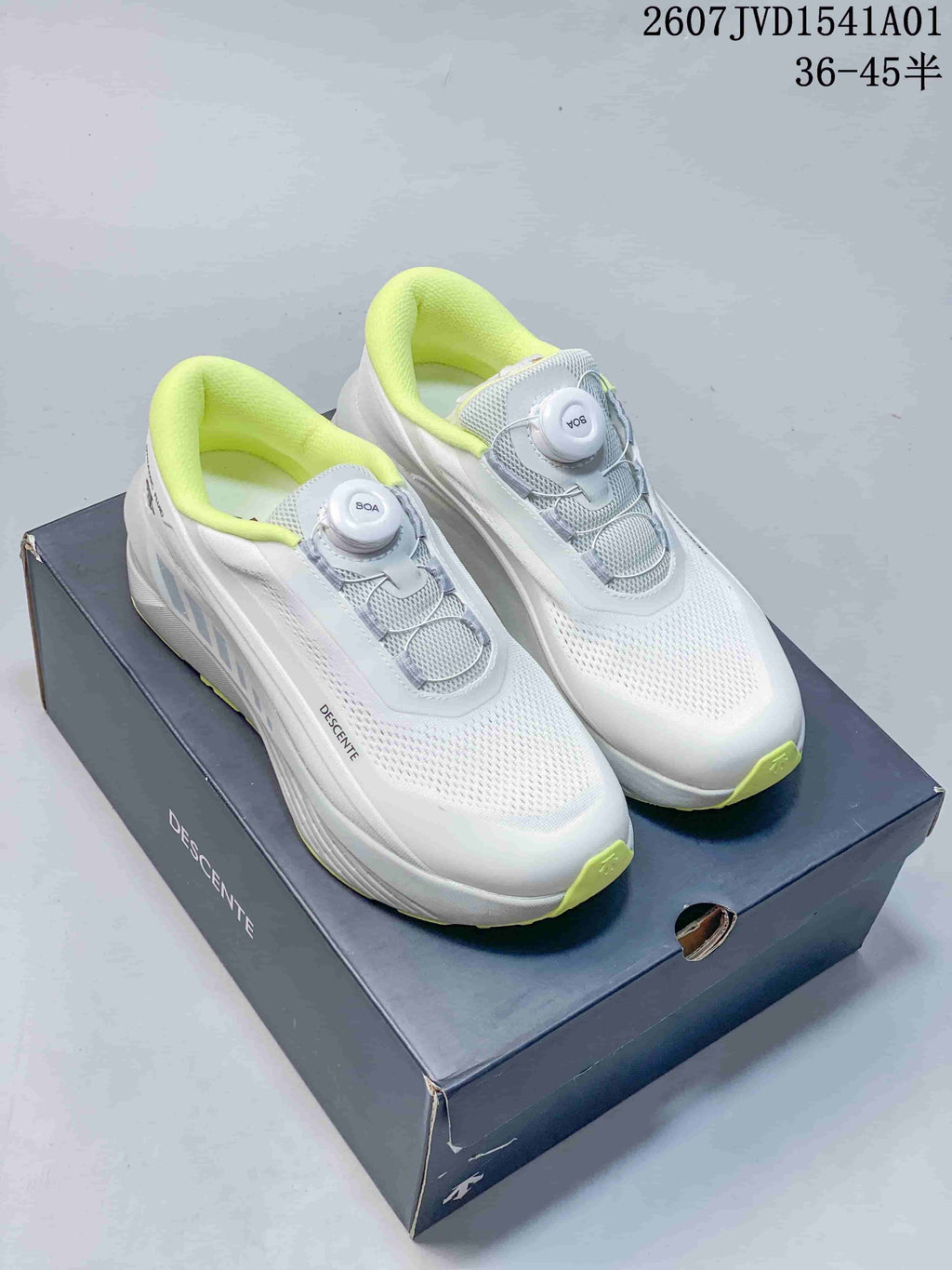 Descente Lavitate Trail Wire 3.0 Running Shoes
