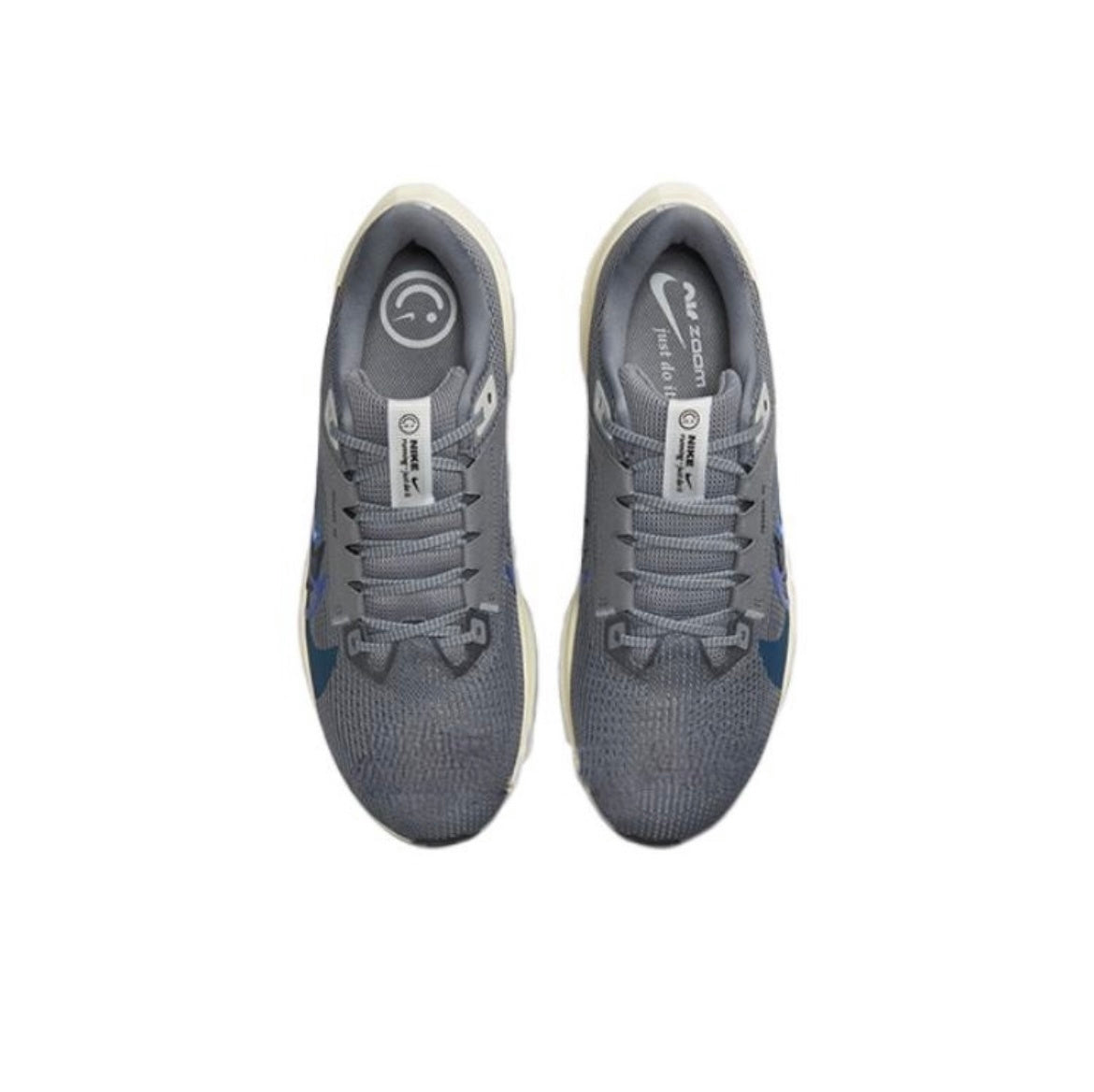 Nike Air Zoom Pegasus 40 PRM Running Shoes Gray FB7179-002