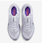 Nike Pegasus Premium Running Shoes Purple HQ2592-004