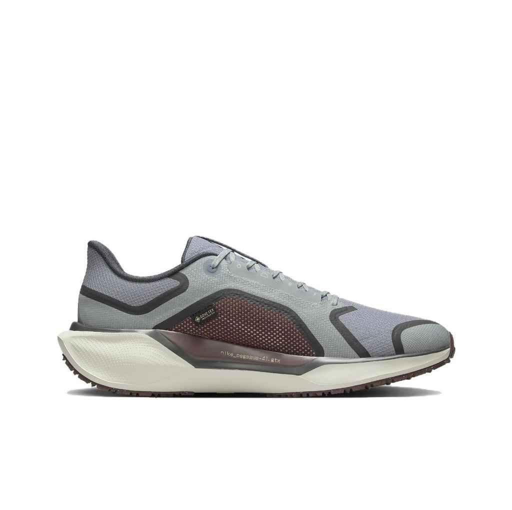 Nike Pegasus 41 GORE-TEX Running Shoes FQ1356-003
