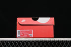 Nike Dunk Low Next Nature Grey Pink DD1873-002