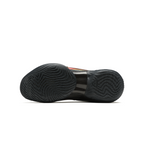 ANTA SNEAKERVERSE eclosion Type1 Pro 'Dark Feather'