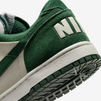 Big Nike Low - Mens