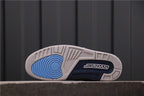 Jordan Air Jordan 3 True Blue Sneakers White Blue