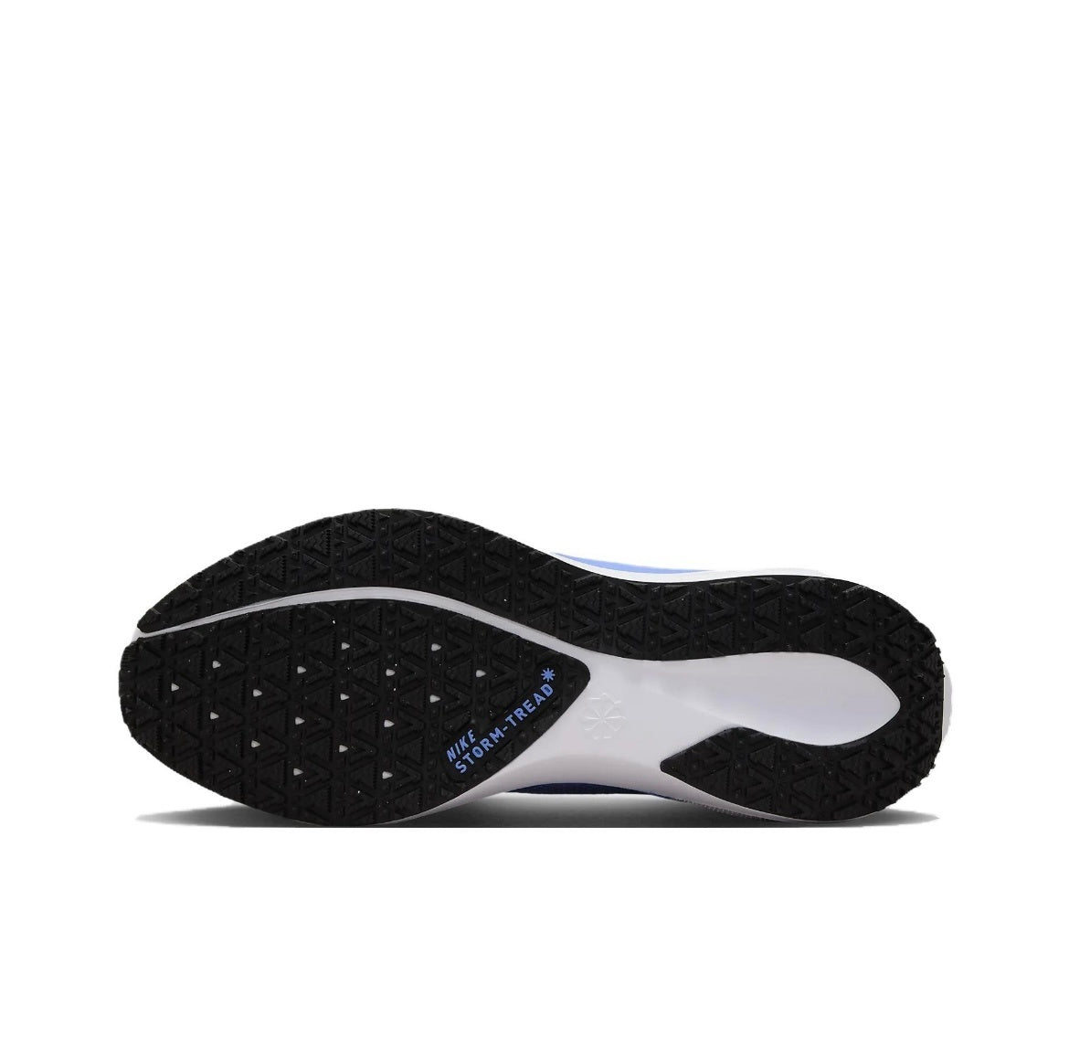 Nike Pegasus 41 GORE-TEX Running Shoes FQ1357-400 Blue