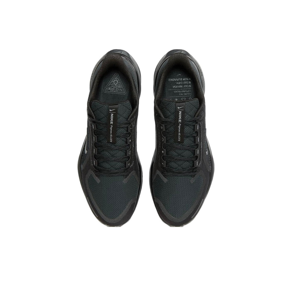 Nike Pegasus 41 GORE-TEX Black Running Shoes FQ1356-001