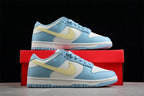 Nike SB Low-Top Sneakers Light Blue White FJ5429-133