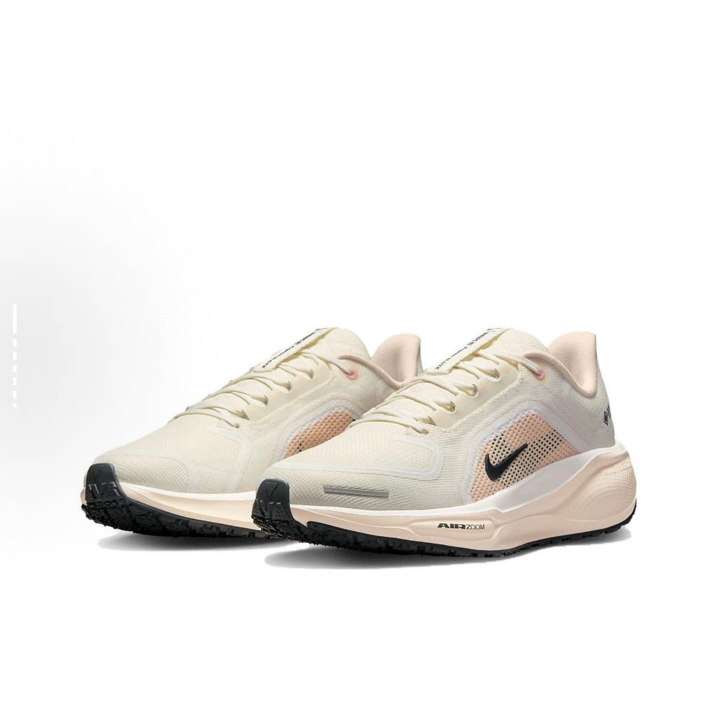 Nike Pegasus 41 GORE-TEX Running Shoes FQ1357-100