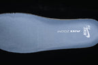 Nike SB Dunk Low Pro Blue and Black Sneakers HF3063-400