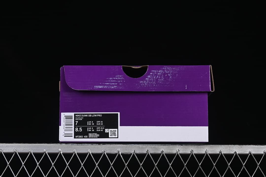 Nike SB Dunk Low Pro Blue and Black Sneakers HF3063-400