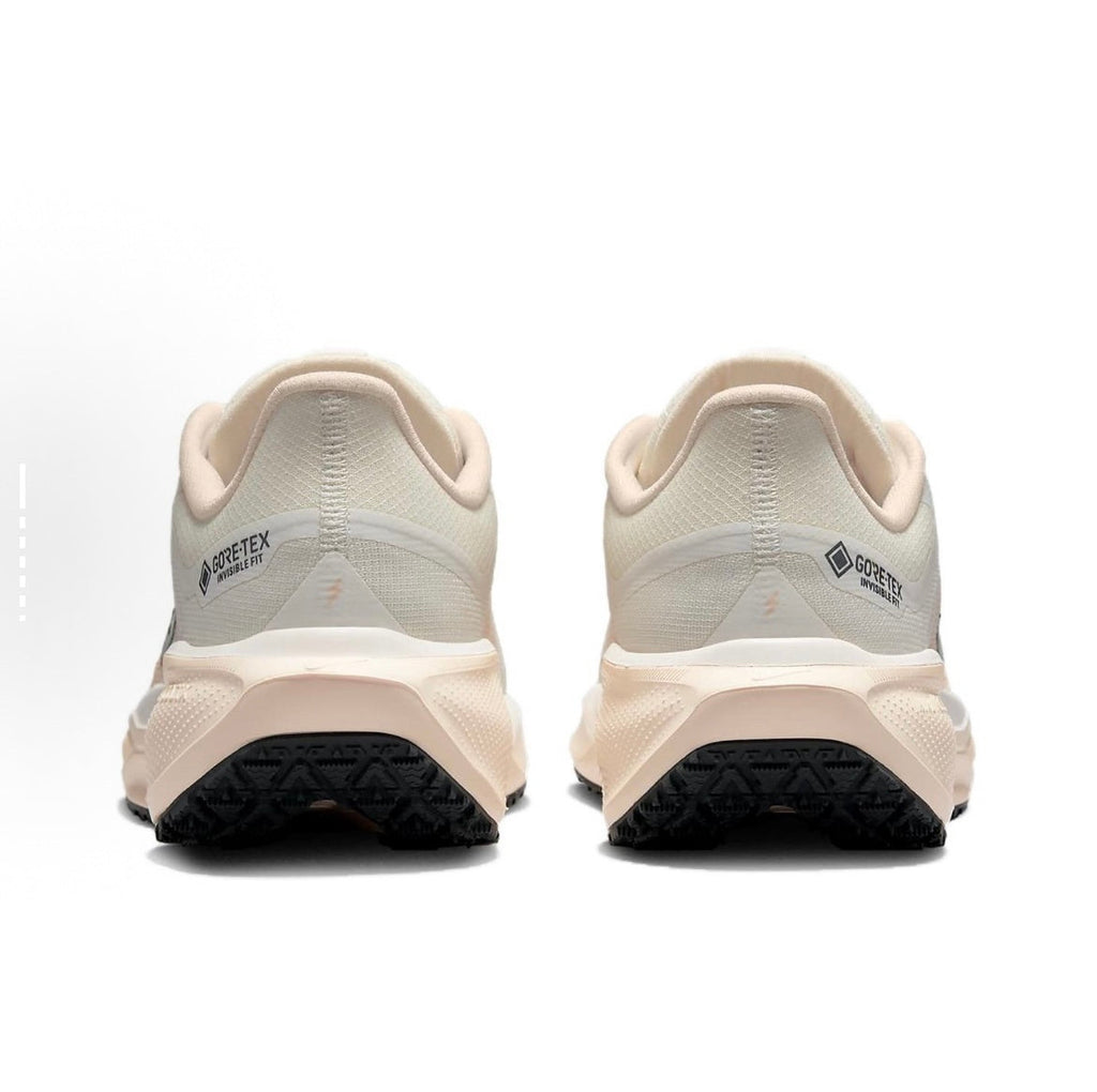 Nike Pegasus 41 GORE-TEX Running Shoes FQ1357-100