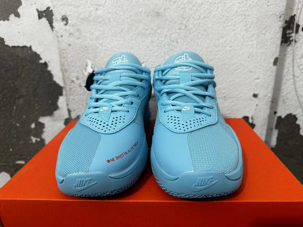Nike Air Zoom Basketball Shoes Blue