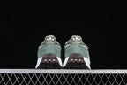 adidas Retropy E5 Sneakers JQ0009 Green
