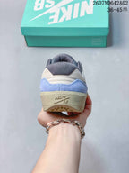 Nike SB Force 58 Low-Top Skate Shoes in Gray and Blue