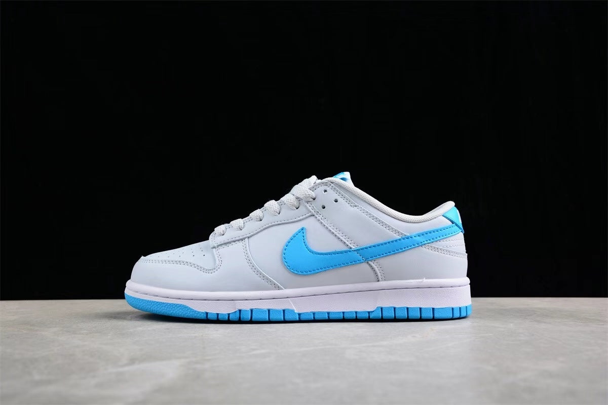 Nike SB Dunk Low Sneakers Light Gray Blue FJ5429-133