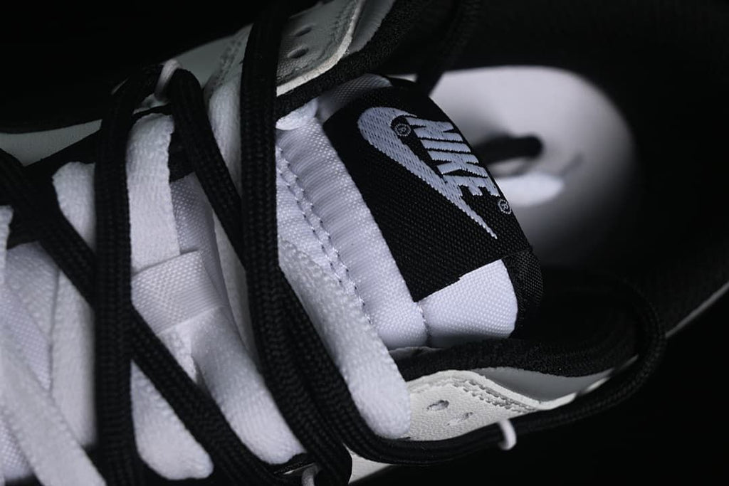Nike SB Dunk Low Fujiwara Strap Sneakers DD1391-100