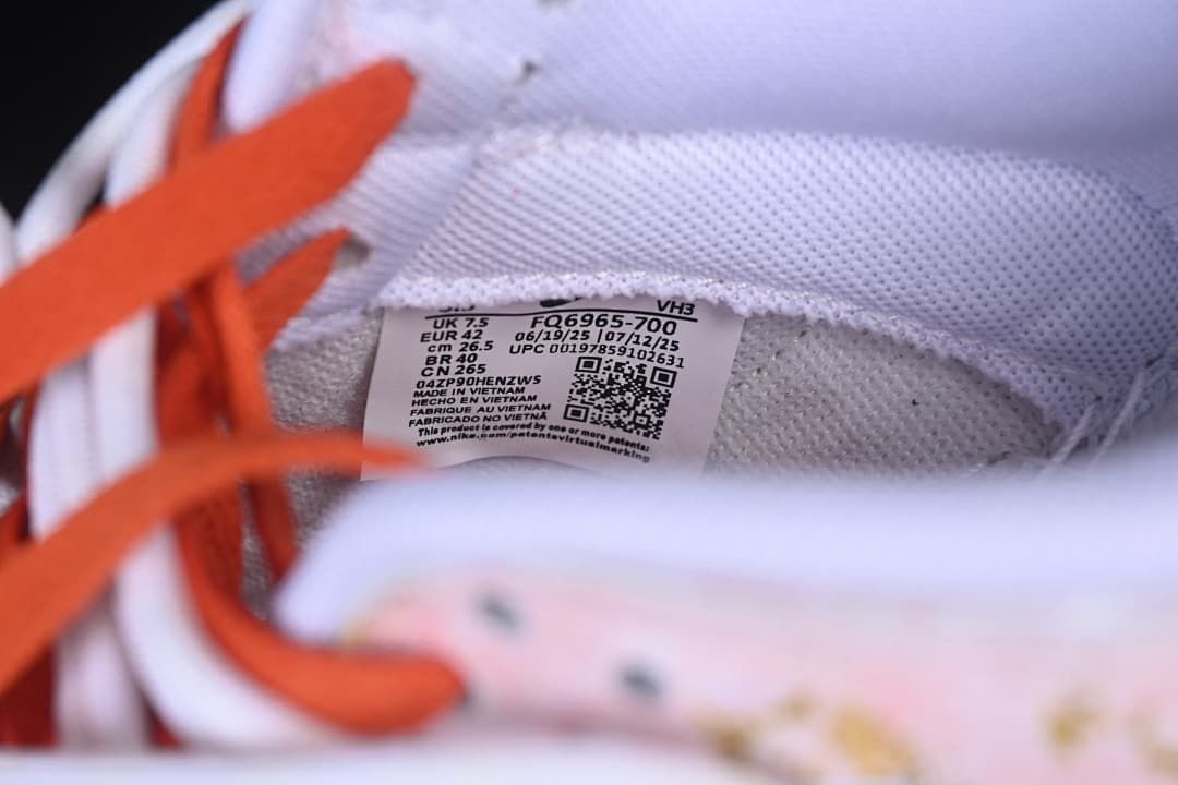 Nike SB Dunk Low Retro FQ6965-700 Sneakers